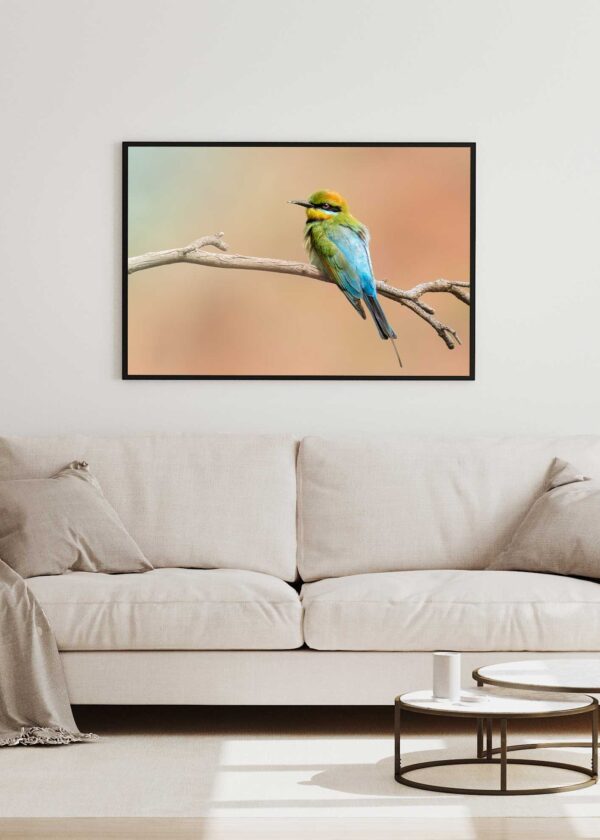 Rainbow Bee Eater Portrait Fine Art Print - Image 3